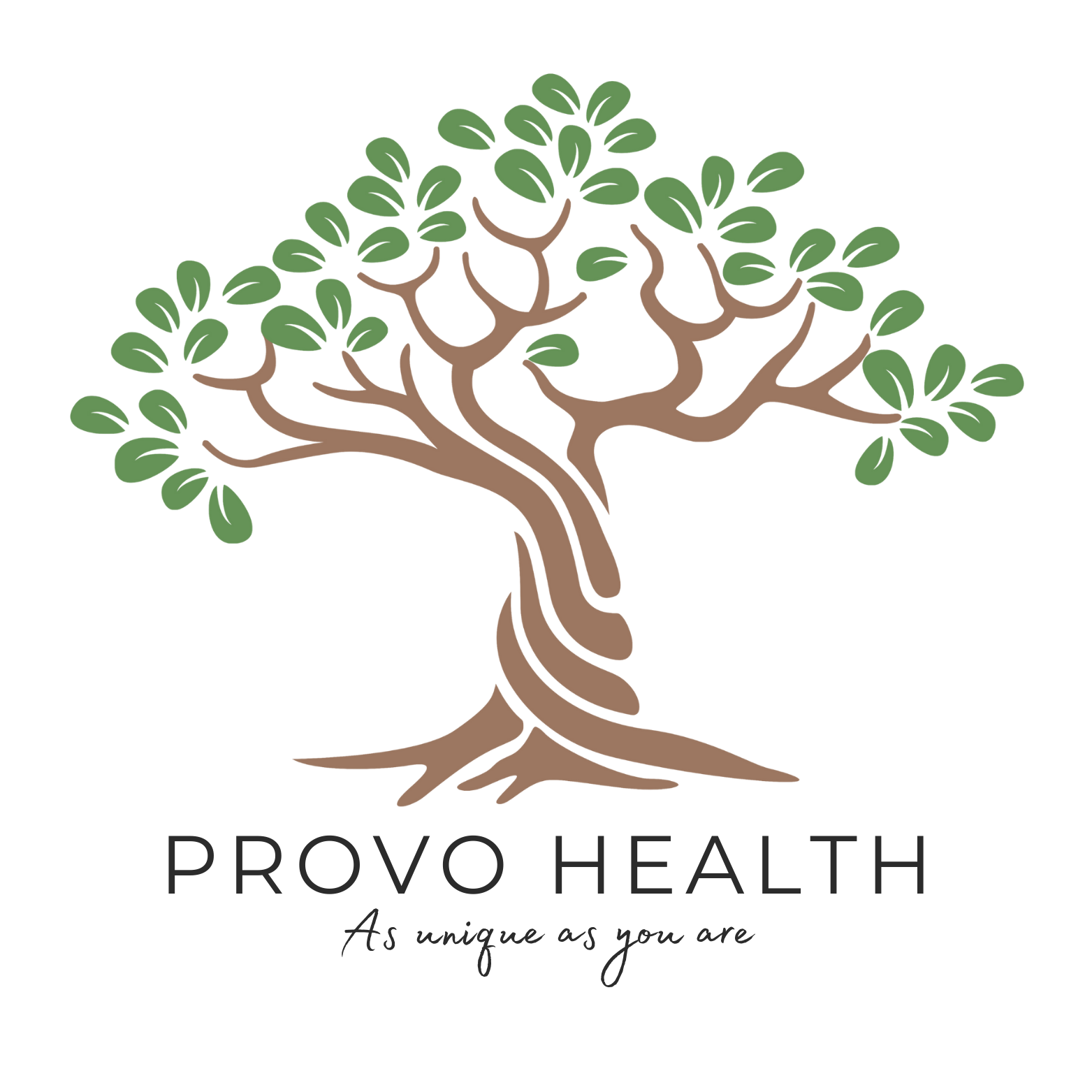 Provo Health